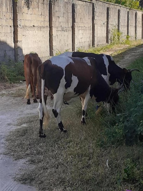 Moment in Time Hotel image 15