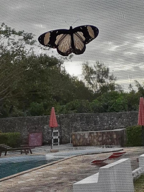 Moment in Time Hotel image 17