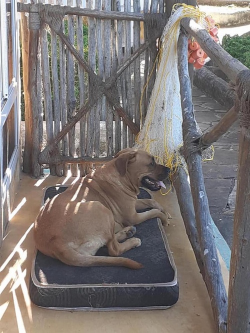 Moment in Time Hotel image 18