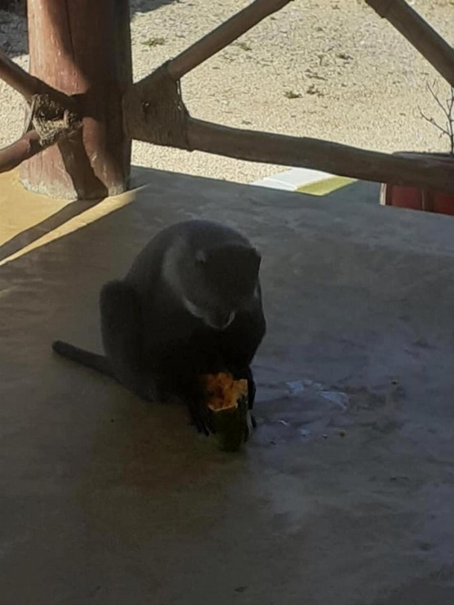 Moment in Time Hotel image 37